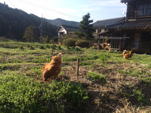 011c88856c15495a1a73c330a68b8ba53e4 011c88856c15495a1a73c330a68b8ba53e4