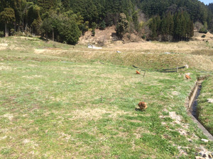 0125dd3722ca6f8277174c09d3bfe718064